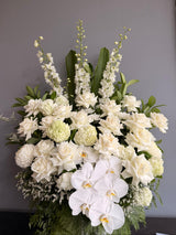 Celestial Bloom Arrangement