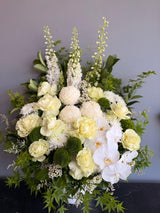 Luxe Ivory Orchid Arrangement