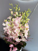 Pink Delight