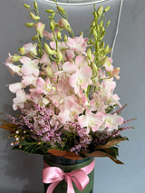 Pink Delight