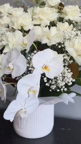 White Grace Arrangement